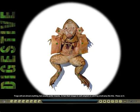 Dissect Frog