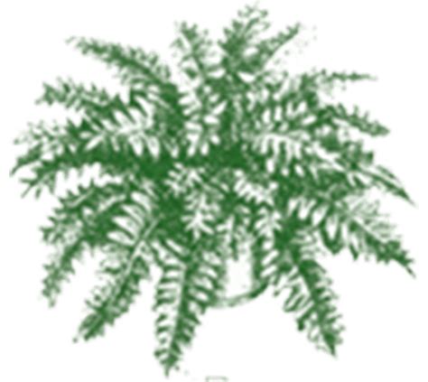 Most Recent Obituaries | McSwain-Evans Funeral Home