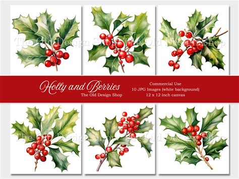 Top 29+ Free Christmas Holly Berries With Baubles And Wood Background Vector