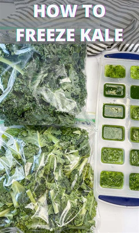 Can You Freeze Kale