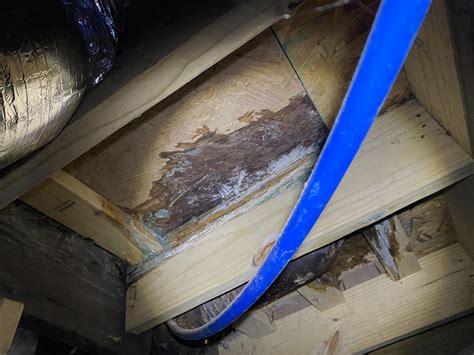 Toilet leaked under the tile and into the subfloor. This pipe is ...