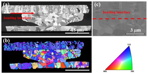 Recrystallization and Grain Growth in Cu-Cu Joints under ...
