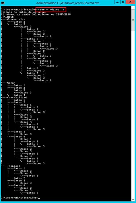 Image result for Cmd Tree Code