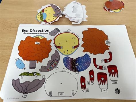 City Hall Connection eNewsletter: July 10, 2024