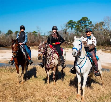 The Untold Story – Behind The Bridle | Cypress Trails Ranch LLC