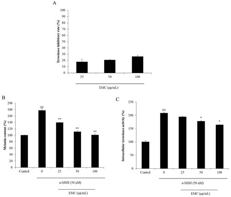 The Potential of Sulfated Polysaccharides Isolated from the Brown ...