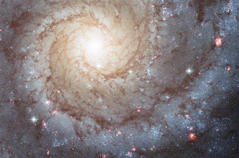 NASA Parallel Universe 的图像结果