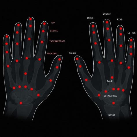 Image result for Hand Tracking Tutorial