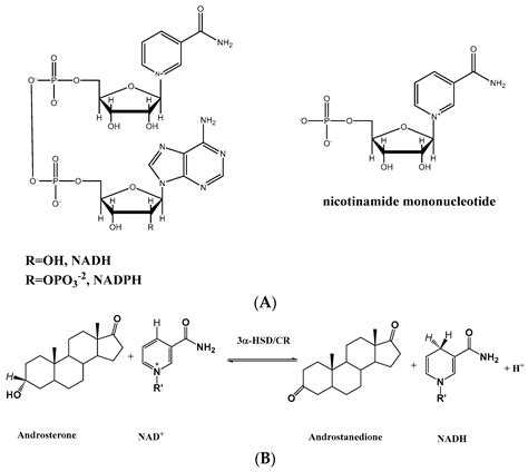 Rational Engineering of 3α-Hydroxysteroid Dehydrogenase/Carbonyl ...