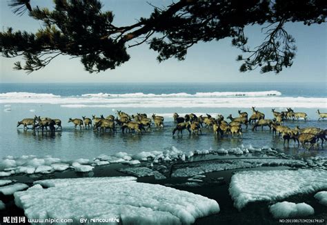 2019兴凯湖_旅游攻略_门票_地址_游记点评,密山旅游景点推荐 - 去哪儿攻略社区