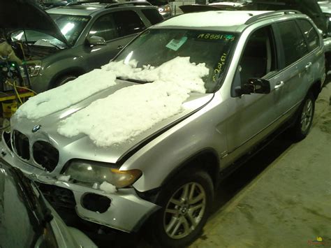 Vehicle List - Ewe Pullet