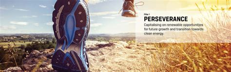 Perseverance | Annual Report JSW Energy Limited