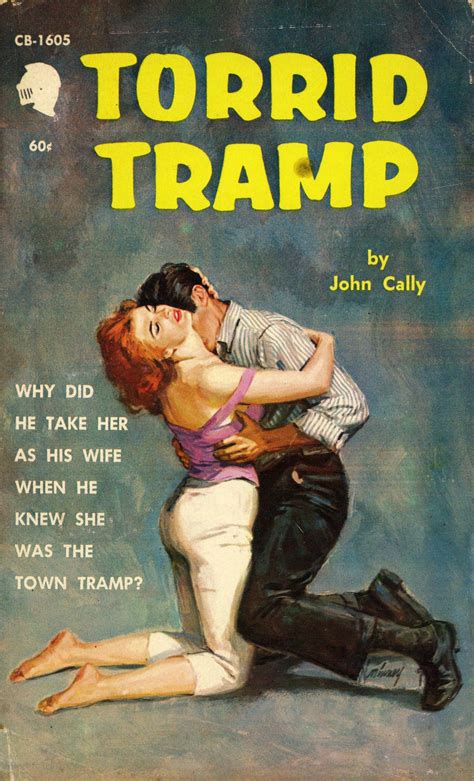 illustrations in novels