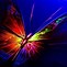 Image result for 1024 X 576 Butterfly Wallpaper