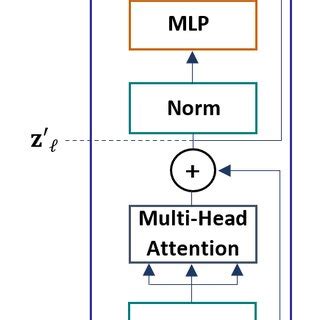 Transformer Encoder 的图像结果