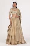Buy Gold Net, Tissue Embroidery, Gota Patti, Sequins, Embellished ...