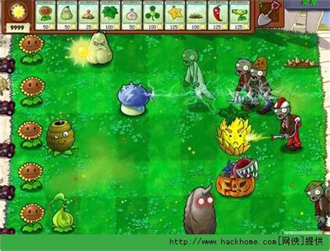 植物大战僵尸中文版单机版游戏下载,图片,配置及秘籍攻略介绍-2345游戏大全