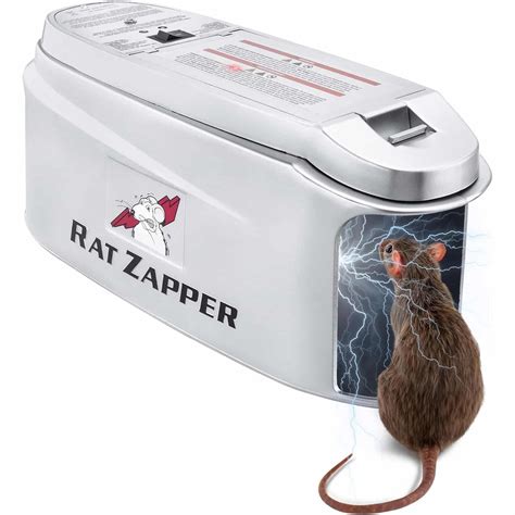 5 Most Effective Mouse Traps of 2025: Humane & Effective Rodent Control ...