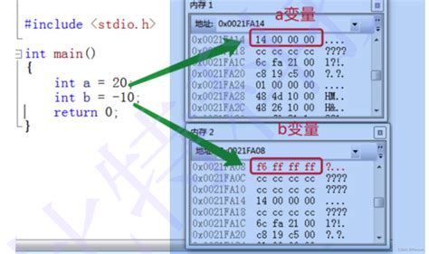 Infdev Floating Point 的图像结果