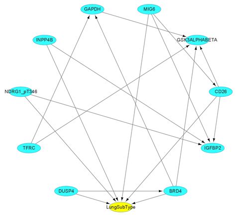 The Weight-Based Feature Selection (WBFS) Algorithm Classifies Lung ...