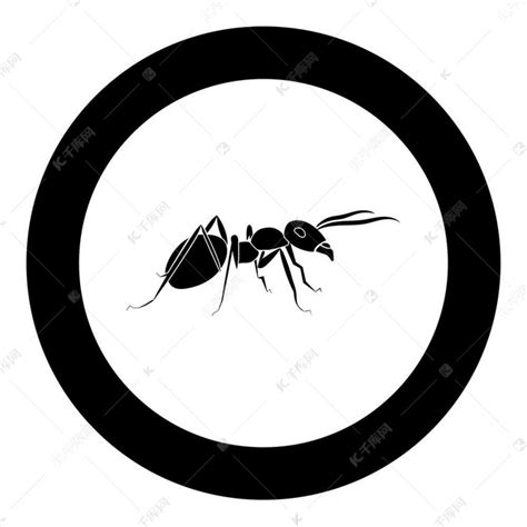 蚂蚁图片素材-正版创意图片500463730-摄图网
