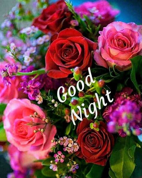 Good night | Good night flowers, Good night wishes, Good night love images