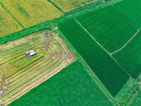 保护耕地 的图像结果