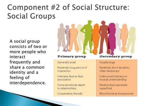 Social Structure Primary Source 的图像结果