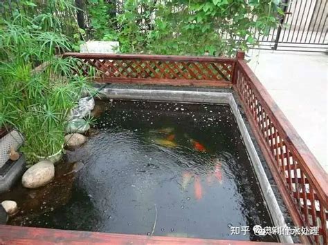 鱼池设计结构要点讲解 - 深圳市绿雅坊景观园艺有限公司