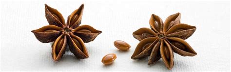 Wiberg-Gewürze | GOURMET VERSAND Online Shop