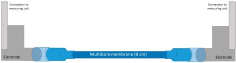 Characterization and Performance of LbL-Coated Multibore Membranes ...