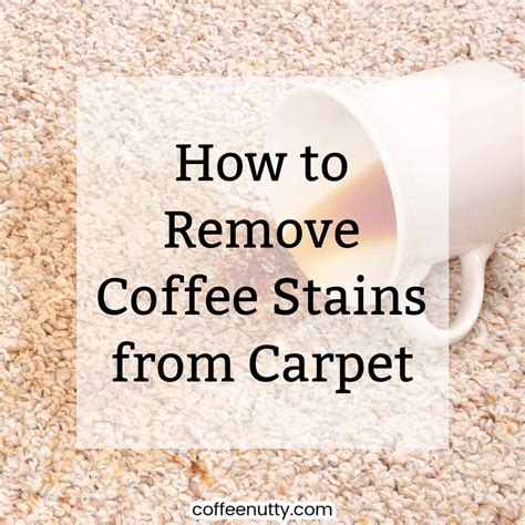 How To Get Rid Of Old Coffee Stains On Carpet | Homeminimalisite.com