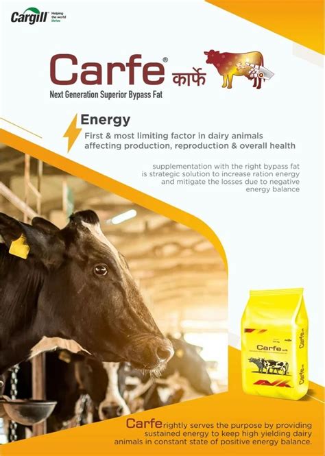 Cattle Feed Supplement - BY PASS FAT (Lysofat-RT Energizing Feed ...