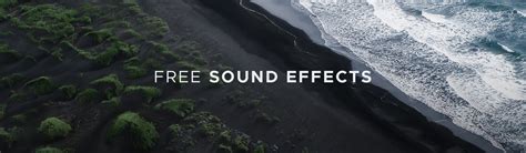 Image result for Freesound Sound Effects