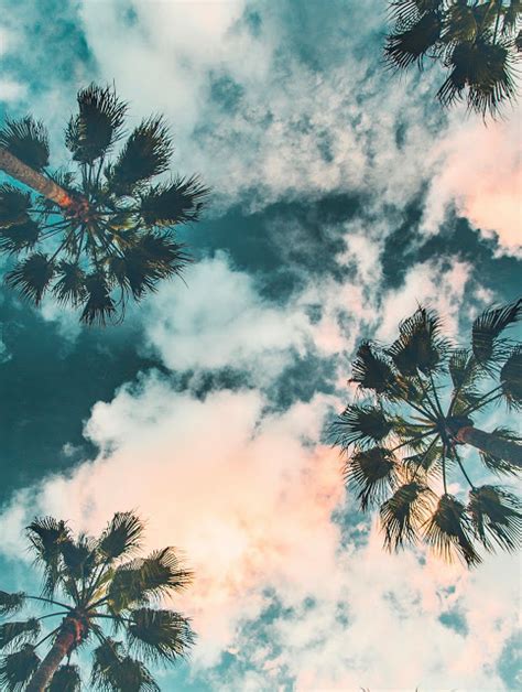 Image result for Wallpaper BG for Programmers JavaScript HTML/CSS