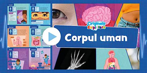 Original Explorers: Corpul uman – Poveste părțile corpului