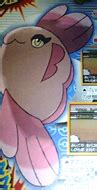 LE NEWS DI CYNDAQUILL