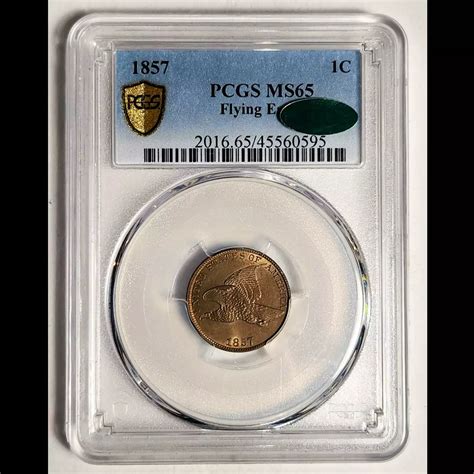 1857 Small Cents Flying Eagle PCGS MS-65 Flying Eagle - CAC CAC - Bob ...