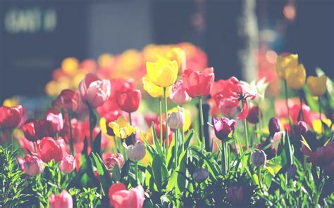 Image result for Spring AOP Concepts