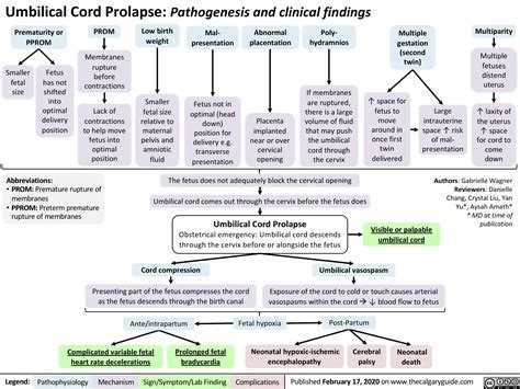 Umbilical Cord Prolapse | Calgary Guide