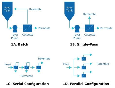 Single-Pass Tangential Flow Filtration Implementation and Scaling
