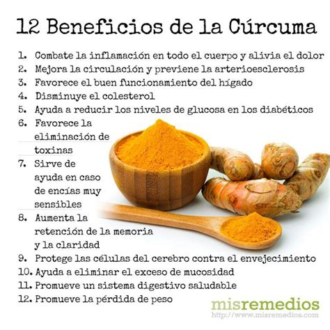 Image result for Curcuma Protocol Cancer