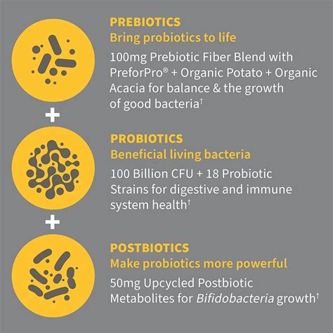 Taking Vitamins With Probiotics at Jorja Helms blog