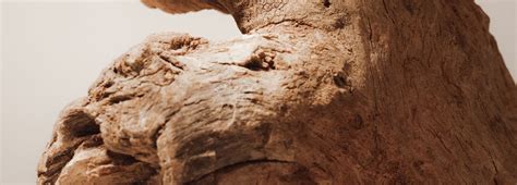 What Does Cashmere Wood Smell Like In Perfume? – Phlur