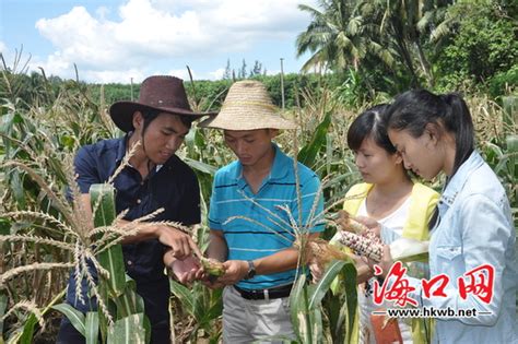 上海世外附属海口学校怎么样？ - 知乎