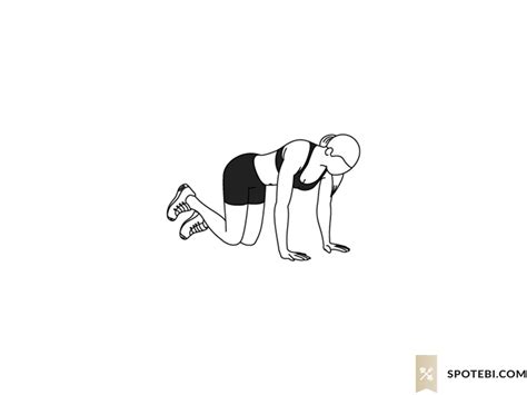 Image result for Fire Hydrant Exercise Proper Form