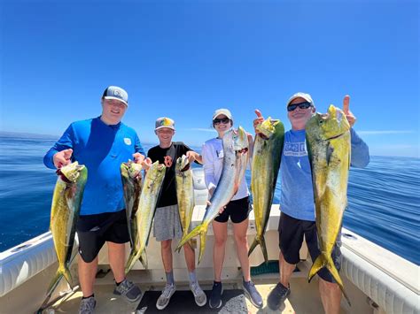Dana Wharf Summer Fishing Guide | What to Catch in Dana Point