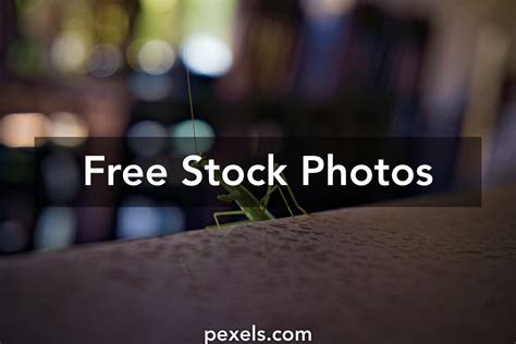 Image result for Alien Antenna