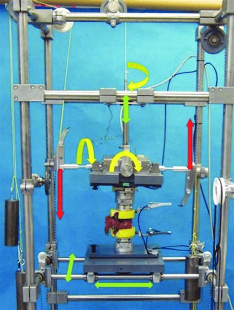 Spring Testing Spine 的图像结果