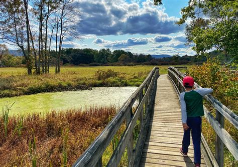 Pochuck Boardwalk - Appalachian Trail - Take a Hike!